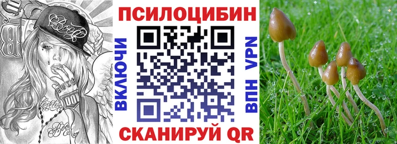 Галлюциногенные грибы MAGIC MUSHROOMS Азнакаево
